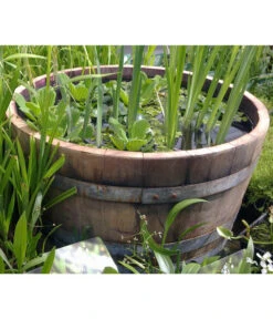 Holz-Weinfasskübel, Rund, Braun -Pflanzenbedarf Geschäft 1710680 WE MO 001 WeinfassKuebelEiche