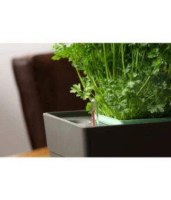 GREENBAR® Kräuterkasten, Ca. B48/H15,5/T16 Cm -Pflanzenbedarf Geschäft 20150713 350 greenbar fuellanzeiger studio herzig