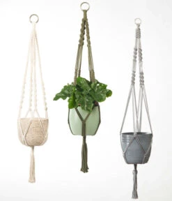 Dehner Makramee-Ampel -Pflanzenbedarf Geschäft 2061968 4409132 WE MO 002 AmpelMakramee