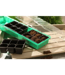 Dehner Zimmergewächshaus Frans, 54 X 15 X 12 Cm -Pflanzenbedarf Geschäft 207456 BildM 001 RombergZimmergewaechshausFransFensterbGewH54X15x12