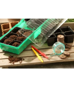 Dehner Zimmergewächshaus Frans, 54 X 15 X 12 Cm -Pflanzenbedarf Geschäft 207456 BildM 002 RombergZimmergewaechshausFransFensterbGewH54X15x12