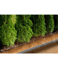 GARDENA Perlregner-Bewässerungsschlauch, 15 M -Pflanzenbedarf Geschäft 211979 WE DE 003 PERLREGNERSCHL15MTR