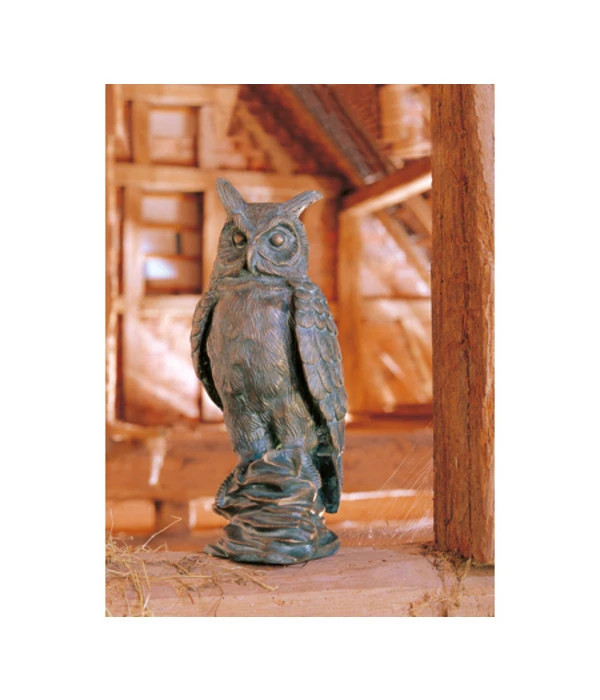 Rottenecker Bronze-Eule, 13 X 15 X 37 Cm 4 Rottenecker Bronze-Eule, 13 X 15 X 37 Cm – Bild 2