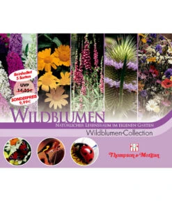 Pflanzenbedarf Geschäft 21 Thompson & Morgan Samen 'Wildblumen-Collection'