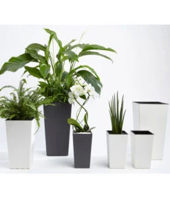 Dehner Kunststoff-Topf Elise, Konisch, Matt, Inkl. Bewässerungsystem 13 Dehner Kunststoff-Topf Elise, Konisch, Matt, Inkl. Bewässerungsystem -Pflanzenbedarf Geschäft 2539427 WE MO 001 KunststoffTopfEliseWeissTaupeAnthrazitFotoshootingUveSauerFebruar2016