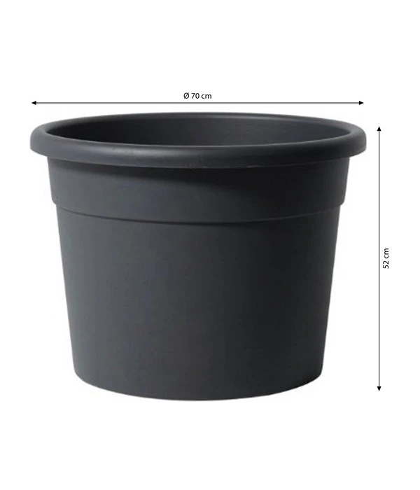 Dehner Kunststoff-Blumentopf Diana, Rund 5 Dehner Kunststoff-Blumentopf Diana, Rund – Bild 3