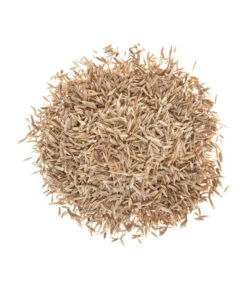 Pflanzenbedarf Geschäft -Pflanzenbedarf Geschäft 2682078 BildD 001 RasenSaatgutWolfPremiumRasenSupraPremiumRasenSupra25Qm