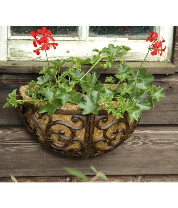 Dehner Gusseisen-Wandtopf, Ca. B29,5/H16,2/T16,2 Cm, Halbrund 4 Dehner Gusseisen-Wandtopf, Ca. B29,5/H16,2/T16,2 Cm, Halbrund – Bild 2