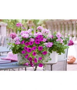 Dehner Kunststoff-Flechtkasten Dallas, Rechteckig -Pflanzenbedarf Geschäft 2889723 2889822 WE MO 008 DehnerKunststoffFlechtkastenweissBlumentopfBlumenkasten