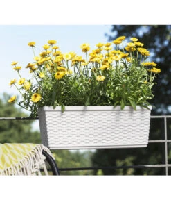 Dehner Kunststoff-Flechtkasten Dallas, Rechteckig -Pflanzenbedarf Geschäft 2889723 WE FS 002 CasaMash weiss