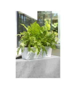 Dehner Kunststoff-Flechtkasten Dallas, Rechteckig -Pflanzenbedarf Geschäft 2889723 WE MO 002 DehnerKunststoffFlechtkastenWeissBlumenkasten