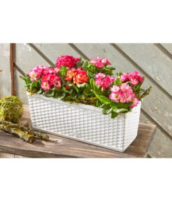 Dehner Kunststoff-Flechtkasten Dallas, Rechteckig -Pflanzenbedarf Geschäft 2889822 WE MO 002 DehnerKunststoffFlechtkastenweissBlumentopf