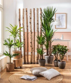 Dehner Keramik-Übertopf Kenia, Konisch, Braun 8 Dehner Keramik-Übertopf Kenia, Konisch, Braun -Pflanzenbedarf Geschäft 2906469 4439022 WE MO 001 TopfKeniaBraunKorbIgmarBraun