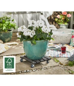 Wagner Pflanzroller, 29 X 29 Cm -Pflanzenbedarf Geschäft 2913853 WE MO 002 MULTIROLLERWPC