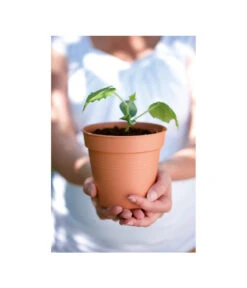 Pflanzenbedarf Geschäft -Pflanzenbedarf Geschäft 3009693 WE MO 001 StarterSetToepfeSchwarz10StueckElho