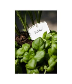 Elho Pflanz-Stift, 5 Stück -Pflanzenbedarf Geschäft 3266806 MO FS 001 PflanzstiftMweissElhoEtikett