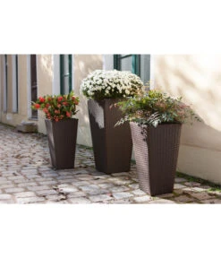 Dehner Polyrattan-Topf Alicante, Konisch, Braun 6 Dehner Polyrattan-Topf Alicante, Konisch, Braun -Pflanzenbedarf Geschäft 3670015 WE MO 001 KunststoffFlechttopfEckig2tlg