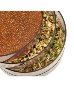 Dehner Sprossenhaus, 4 Schalen -Pflanzenbedarf Geschäft 3677101 WE MO 002 DehnerSprossenhausKeimsprossen