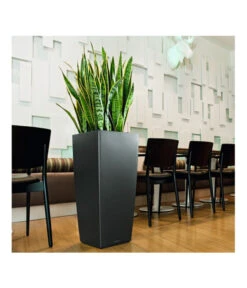 LECHUZA® CUBICO Premium, All-in-One-Set 10 LECHUZA® CUBICO Premium, All-in-One-Set -Pflanzenbedarf Geschäft 3679636 BildM 001 LechuzaCubicoCubicoPrem22KplAnthr