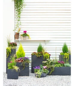 Dehner Kunststoff-Raumtrenner Palermo, Rechteckig, Anthrazit, Ca. B60/H60/T26 Cm -Pflanzenbedarf Geschäft 3728110 3940764 3693611 WE MO 001 KunststoffPflanzkastenKubus