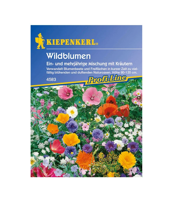 Wildblumen Mit Kräutern Mix, Saatgut Von Kiepenkerl 3 Wildblumen Mit Kräutern Mix, Saatgut Von Kiepenkerl