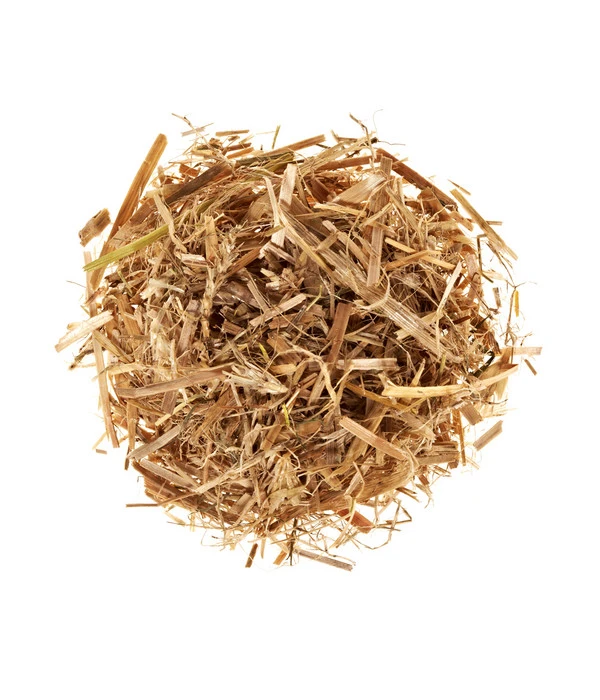 Pilzmännchen Bio Pilzzuchtset Austernpilz 4 Pilzmännchen Bio Pilzzuchtset Austernpilz – Bild 2