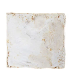 Pilzmännchen Bio Pilzzuchtset Austernpilz 7 Pilzmännchen Bio Pilzzuchtset Austernpilz -Pflanzenbedarf Geschäft 3940285 BildD 002 PilzmaennchenBioHomePilzzuchtsetAusternpilzPilzbrutAusternpilzSet