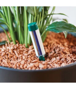 Seramis Gießanzeiger 15 Seramis Gießanzeiger -Pflanzenbedarf Geschäft 394684 WE MO 004 SeramisGiessanzeiger 394692