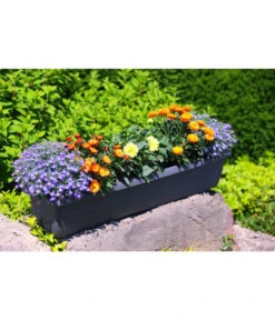 Geli Kunststoff-Blumenkasten Aqua Andalucia -Pflanzenbedarf Geschäft 3955739 WE MO 001 GeliKunststoffBlumenkastenAquaAndaluciamitLangzeitbewaesseungssystem