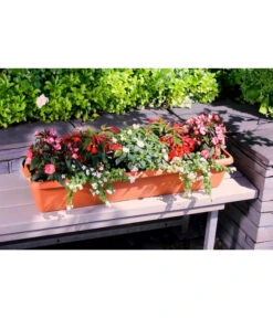 Geli Kunststoff-Blumenkasten Aqua Andalucia -Pflanzenbedarf Geschäft 3955739 WE MO 002 GeliKunststoffBlumenkastenAquaAndaluciamitLangzeitbewaesseungssystem