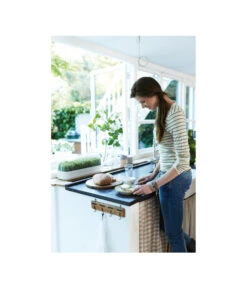 Elho Anzuchthaube L -Pflanzenbedarf Geschäft 4026704 WE MO 001 AnzuchthausLTransparentElho