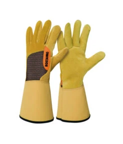 Rosenhandschuh Roncier