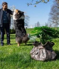 Roto Kunststoff-Pflanztopf Tasche, Grau, Ca. B58/H30/T49 Cm 5 Roto Kunststoff-Pflanztopf Tasche, Grau, Ca. B58/H30/T49 Cm -Pflanzenbedarf Geschäft 4147971 WE MO 001 RotoTopfTasche