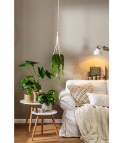 Dehner Makramee-Ampel -Pflanzenbedarf Geschäft 4152484 PR MO 001 TopfFreshBraunGrau 4408951 4408977 4408985 4409132