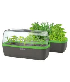 Romberg BoQube Gewächshaus 16 Romberg BoQube Gewächshaus -Pflanzenbedarf Geschäft 4299970 WE FS 006 BoQubeGewaechshausZimmergewaechshaus