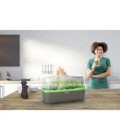 Romberg BoQube Gewächshaus 17 Romberg BoQube Gewächshaus -Pflanzenbedarf Geschäft 4299970 WE MO 001 RombergGewaechshausZimmergewaechshausAnzucht