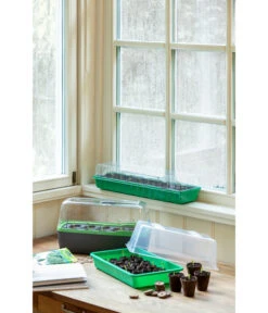 Romberg BoQube Gewächshaus 19 Romberg BoQube Gewächshaus -Pflanzenbedarf Geschäft 4299970 WE MO 004 BoQubeZimmergewaechshaus 1