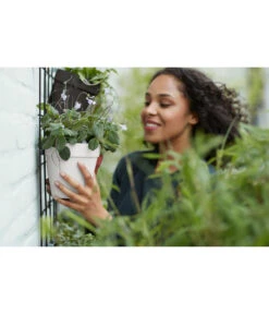 Elho Metall-Wandgitter Für Töpfe Loft Urban Green Wall Gestell, Ca. B47,3/H59/T1,5 Cm, Schwarz 36 Elho Metall-Wandgitter Für Töpfe Loft Urban Green Wall Gestell, Ca. B47,3/H59/T1,5 Cm, Schwarz -Pflanzenbedarf Geschäft 4315917 4315677 WE MO 008 elhoMetallWandgitterWandhaengetopf