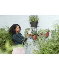 Elho Metall-Wandgitter Für Töpfe Loft Urban Green Wall Gestell, Ca. B47,3/H59/T1,5 Cm, Schwarz 24 Elho Metall-Wandgitter Für Töpfe Loft Urban Green Wall Gestell, Ca. B47,3/H59/T1,5 Cm, Schwarz -Pflanzenbedarf Geschäft 4315917 WE MO 003 elhoMetallWandgitterfuerToepfeBlumentopfurbangardening