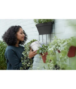 Elho Metall-Wandgitter Für Töpfe Loft Urban Green Wall Gestell, Ca. B47,3/H59/T1,5 Cm, Schwarz 25 Elho Metall-Wandgitter Für Töpfe Loft Urban Green Wall Gestell, Ca. B47,3/H59/T1,5 Cm, Schwarz -Pflanzenbedarf Geschäft 4315917 WE MO 005 elhoMetallWandgitterfuerToepfeBlumentopfurbangardening