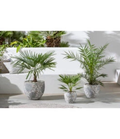 Dehner Keramik-Topf Mosaik, Grau 6 Dehner Keramik-Topf Mosaik, Grau -Pflanzenbedarf Geschäft 4435475 4435491 4435509 WE MO 001 DehnerKeramikTopfMosaik