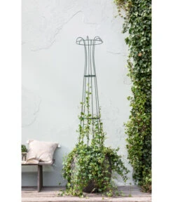 Dehner Metall-Obelisk Maxima 6 Dehner Metall-Obelisk Maxima -Pflanzenbedarf Geschäft 4437810 WE MO 001 DehnerObeliskMaxima175CM