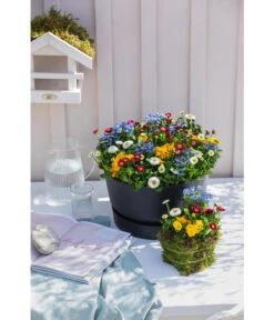 Elho Kunststoff-Schale Greenville, Ca. Ø33/H19,5 Cm 9 Elho Kunststoff-Schale Greenville, Ca. Ø33/H19,5 Cm -Pflanzenbedarf Geschäft 4474292 WE MO 002 elhoKunststoffSchaleGreenville