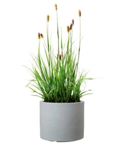 Scheurich Kunststoff-Topf Riva, Rund -Pflanzenbedarf Geschäft 4498838 WE FS 003 ScheurichKunststoffTopfRivarund