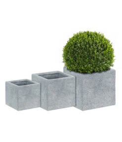 Dehner Leichtbeton-Topf Rock, Quadratisch, Grau -Pflanzenbedarf Geschäft 5157524 5157532 5157540 WE MO 002 DehnerLeichtbetonTopf