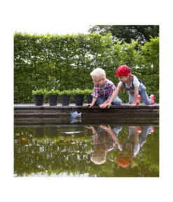 Artstone Kunststoff-Blumentopf Claire, Rund 9 Artstone Kunststoff-Blumentopf Claire, Rund -Pflanzenbedarf Geschäft 5160395 WE MO 002 KunststoffTopfClaireschwarz