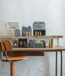 Dehner Zement-Jardiniere Slate, Rechteckig, Grau -Pflanzenbedarf Geschäft 5338900 WE MO 001 SerieSlateGrau 5338918 5056221 5056155 384281