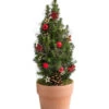 Geschmückter Weihnachtsbaum Terra -Pflanzenbedarf Geschäft 6201982 WE FS 001 WeihnachtsbaeumchenTerra15cm