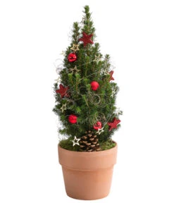 Geschmückter Weihnachtsbaum Terra