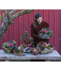 Grabgesteck In Liebe, Herzförmig, Ca. B55/H40/T45 Cm -Pflanzenbedarf Geschäft 6462857 WE MO 002 SerieInLiebePremiumAllerheiligen202301